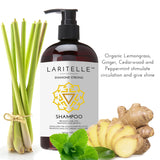 Laritelle Organic Shampoo Diamond Strong 17.5 oz