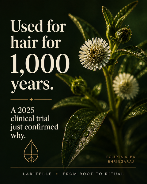 Bhringaraj has been used for hair in Ayurvedic medicine for over a thousand years. A 2025 clinical trial finally tested it properly — here is what happened.
