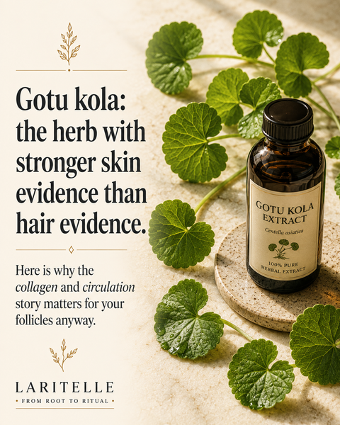 Ingredient spotlight: gotu kola — the Ayurvedic herb with stronger collagen evidence than hair evidence, and why that distinction actually matters for your follicles.