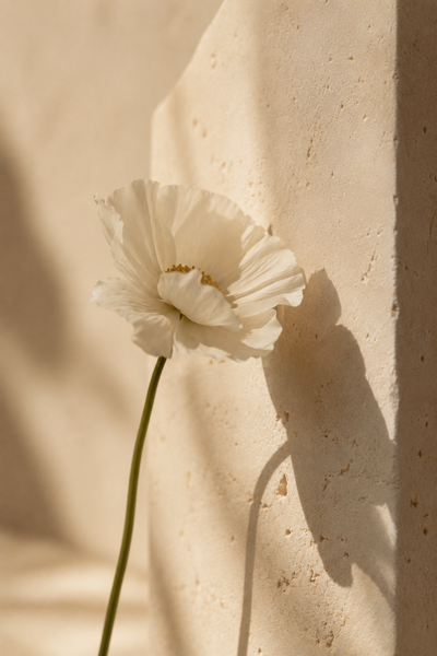 The Frequency of Boundaries: What Each Life Path Finds Hardest to Protect