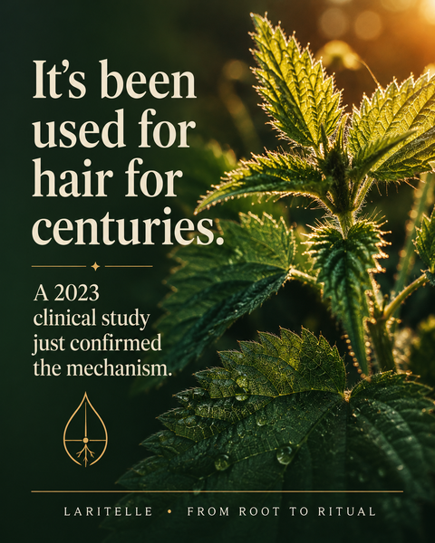 Stinging nettle is in almost every hair formula — but most people don't know why. Here is what the plant actually does.