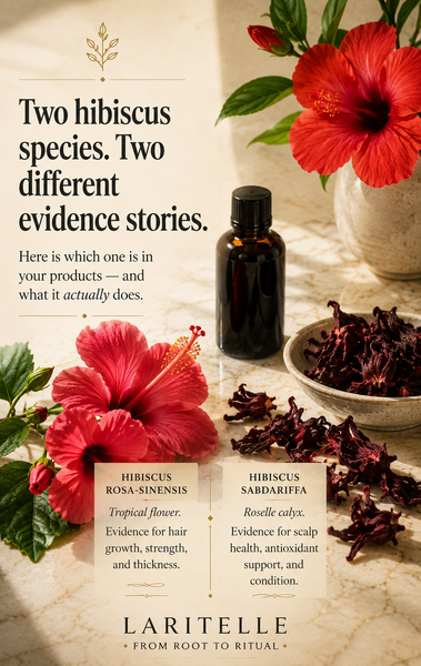 Ingredient spotlight: hibiscus — two species, two different evidence stories, and why the one in your hair products is different from the one in your tea.