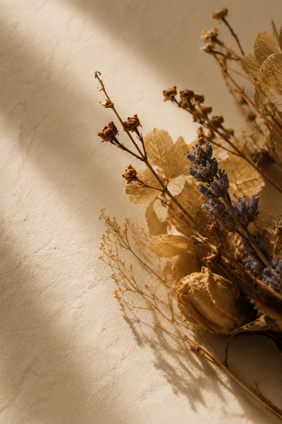 The Frequency of Reinvention: How Each Life Path Redesigns Itself Without Losing What It Is