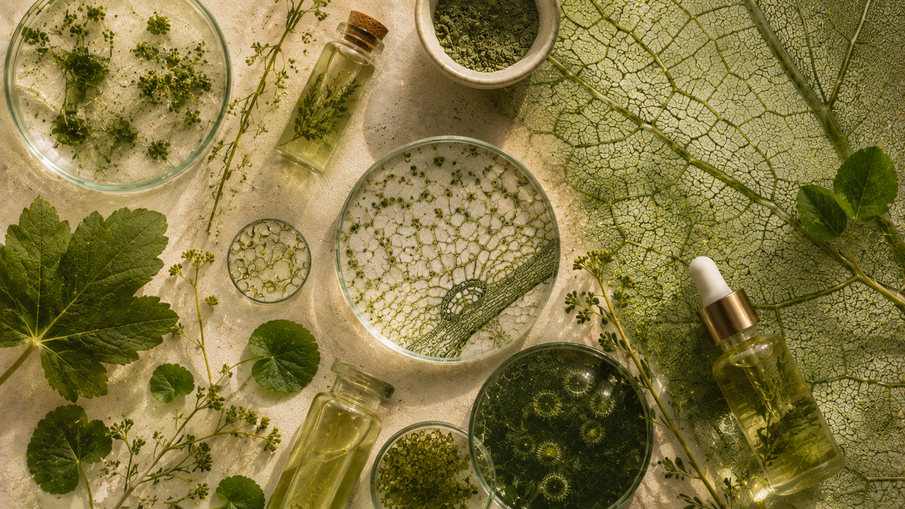 Your scalp has a microbiome. It has been trying to warn you.