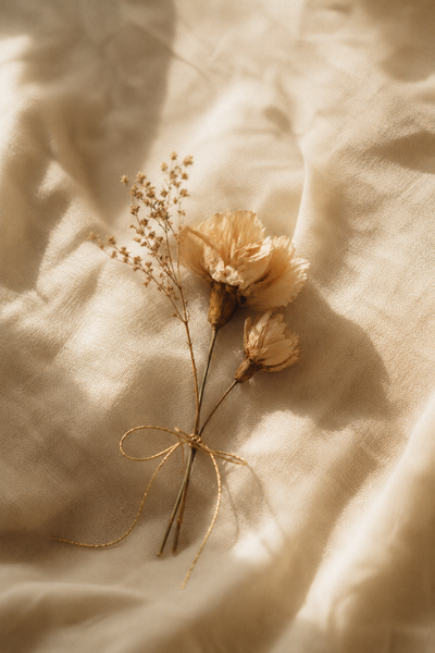 The Frequency of Attachment: How Each Life Path Forms and Releases Emotional Bonds