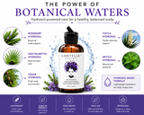 Laritelle Organic Post-Shampoo Hair Strengthening Treatment 2 oz
