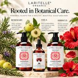 Fertile Roots Complete Hair Care System