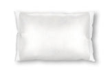 Off-White Ivory Silk Pillow Sleeve.