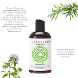 Laritelle Organic Nature's Love (Travel Size) Shampoo 2 oz